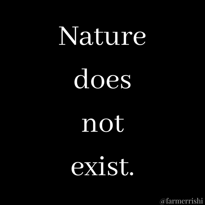Nature Does Not Exist