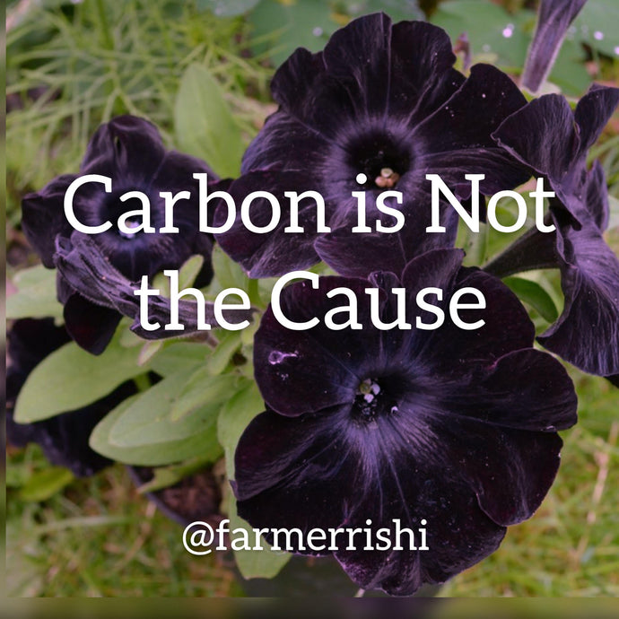 Carbon is Not the Cause