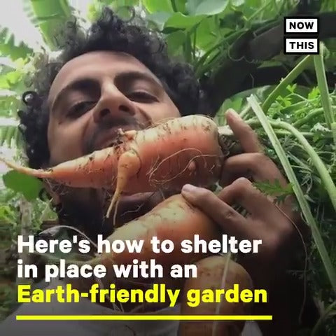 [VIDEO] NowThis: How to Start a Regenerative Garden At Home