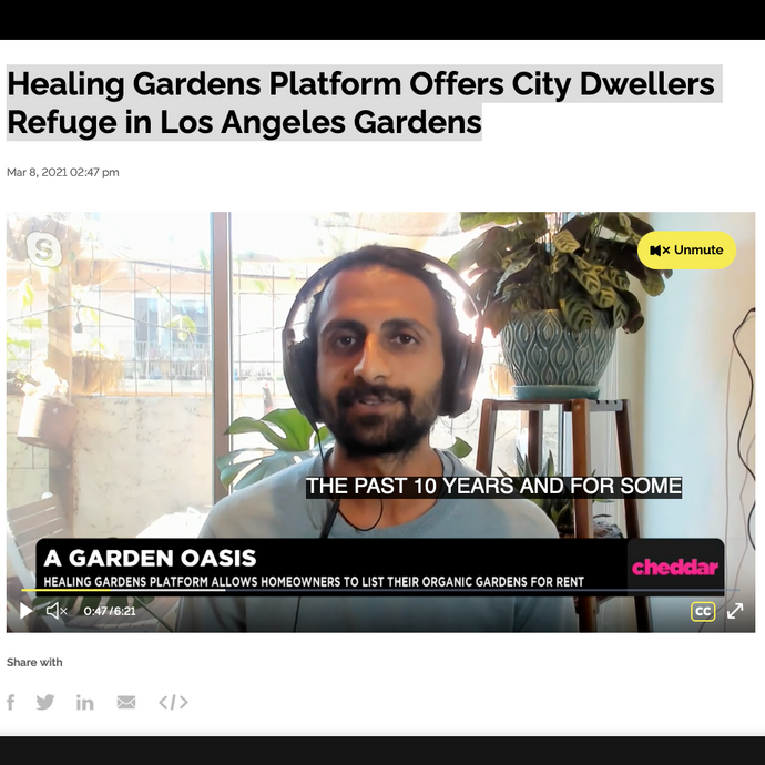 [VIDEO] Cheddar: Healing Gardens Platform Offers City Dwellers Refuge in Los Angeles Gardens